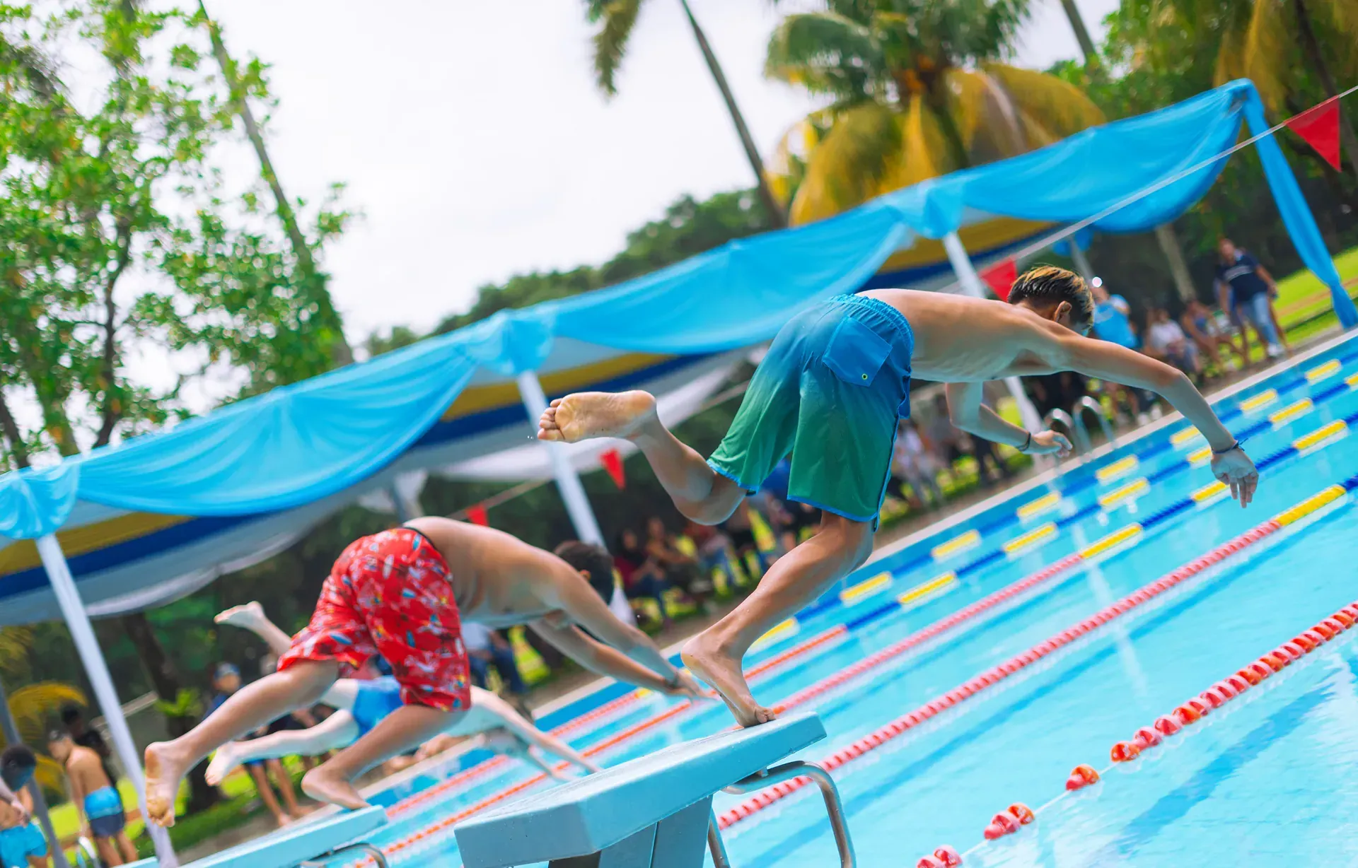A group of people are diving into a swimming pool.