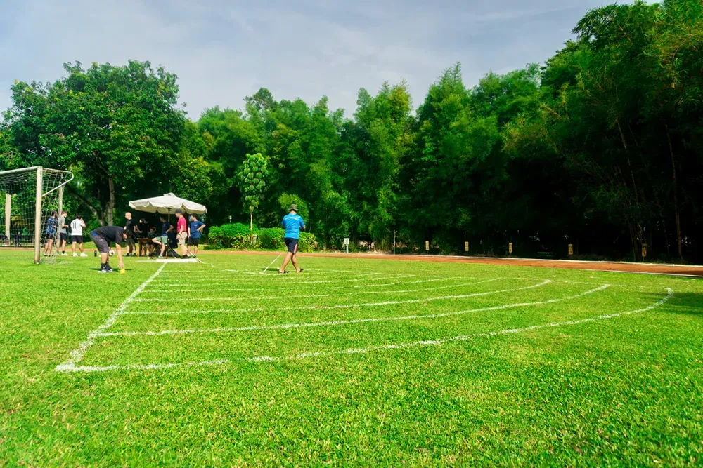 A group of people are running on a lush green field.
