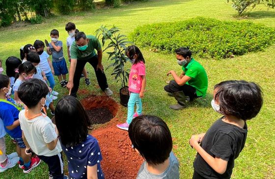 A group of children are standing around a tree in a park.