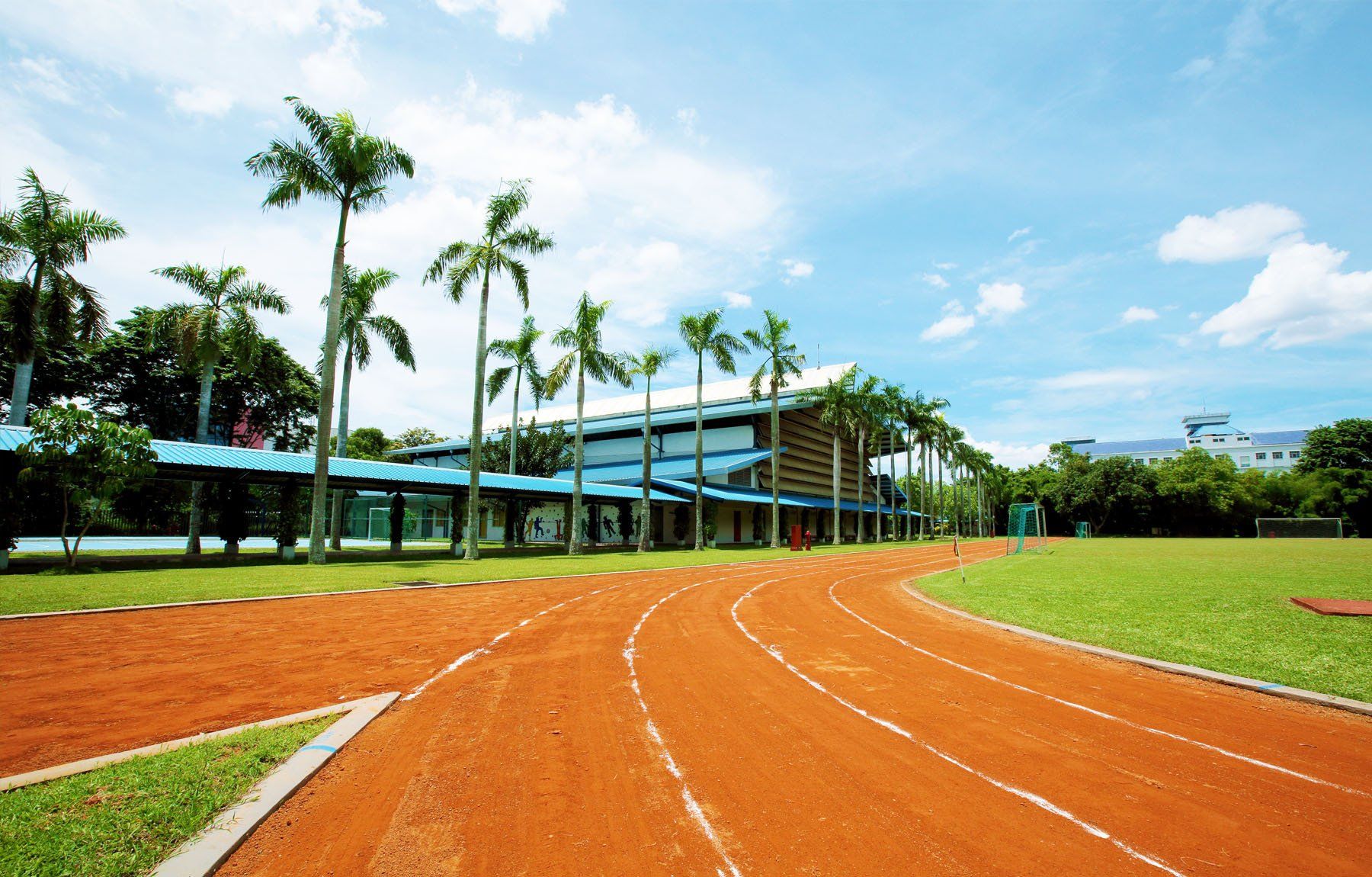A track with a building in the background and palm trees