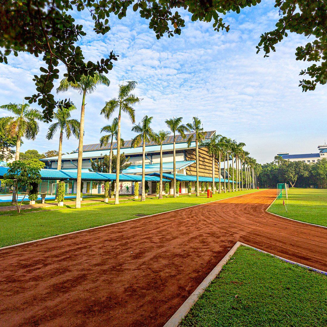 A running track in a park with palm trees and a building in the background.
