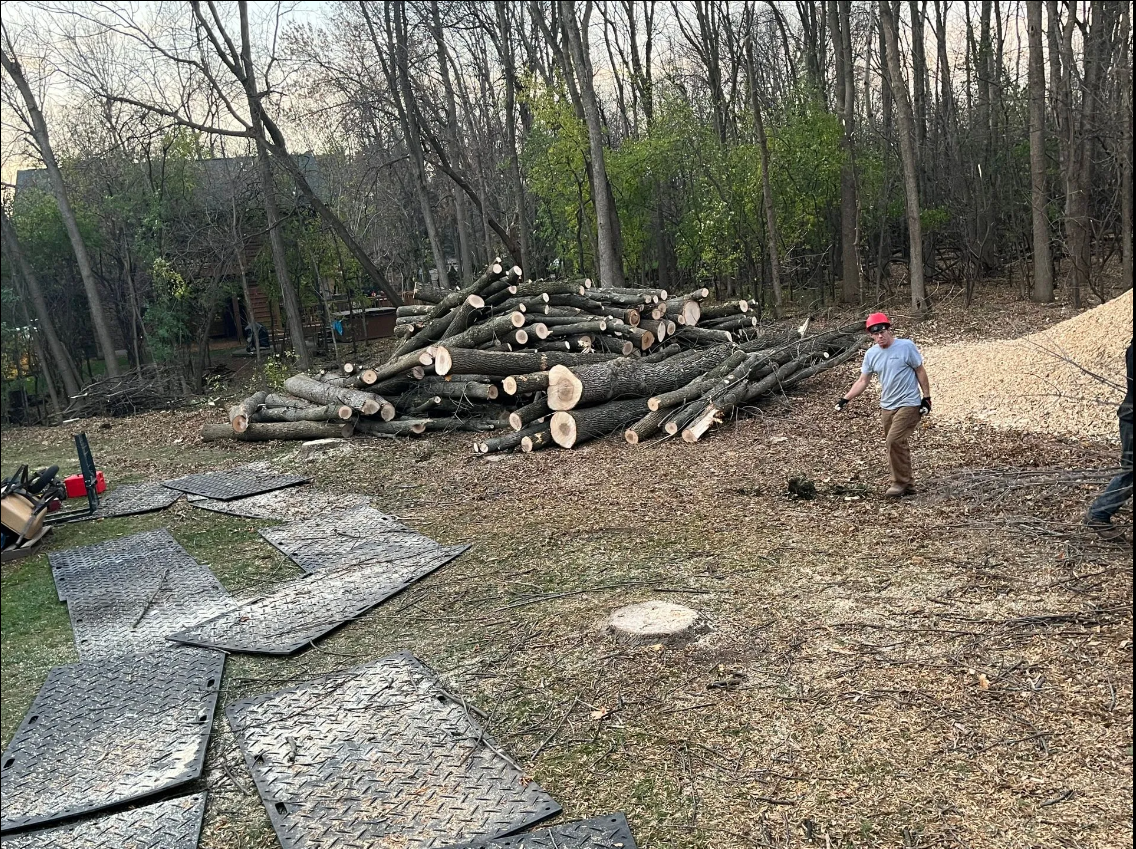 Experienced Tree Service Company | Appleton, WI | Tree-B-Gone
