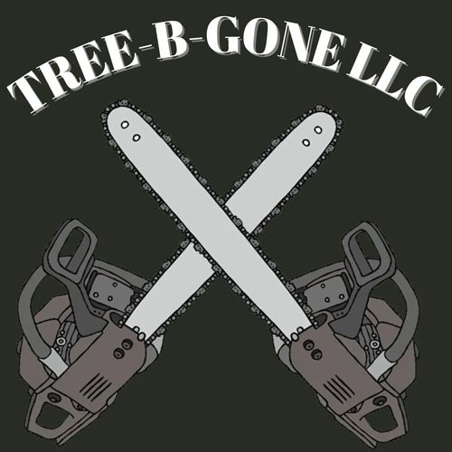 Storm Tree Removal and Cleanup Appleton, WI Tree B Gone