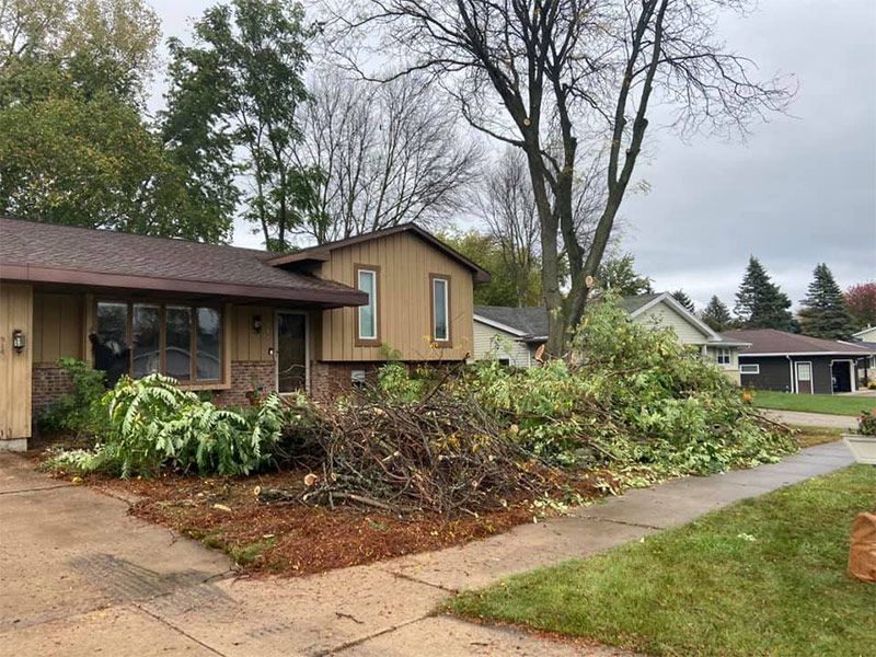 Fallen Trees Destroyed By The Typhoon - Appleton, WI - TREE B GONE