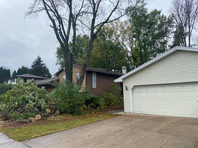 Image of A Tree In A Residential House After Trimming - Appleton, WI - TREE B GONE