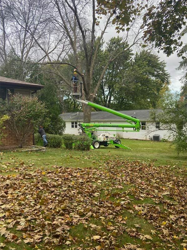 Lumberjack Cut Down A Tree - Appleton, WI - TREE B GONE