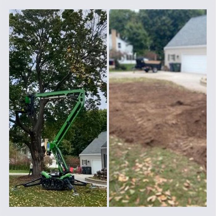 Before And After Removing A Tree On A Backyard - Appleton, WI - TREE B GONE