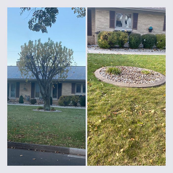 Before And After OF A Stump Grinding - Appleton, WI - TREE B GONE