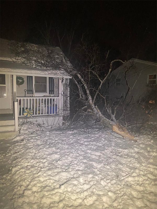 Tree Fall Down On A House - Appleton, WI - TREE B GONE