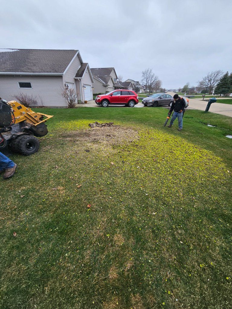 Grinding Tree Stump Using Grinder Machine - Appleton, WI - TREE B GONE