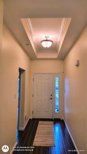 Narrow hallway with cream walls, dark wood floor, white front door, skylight ceiling, and a runner rug.