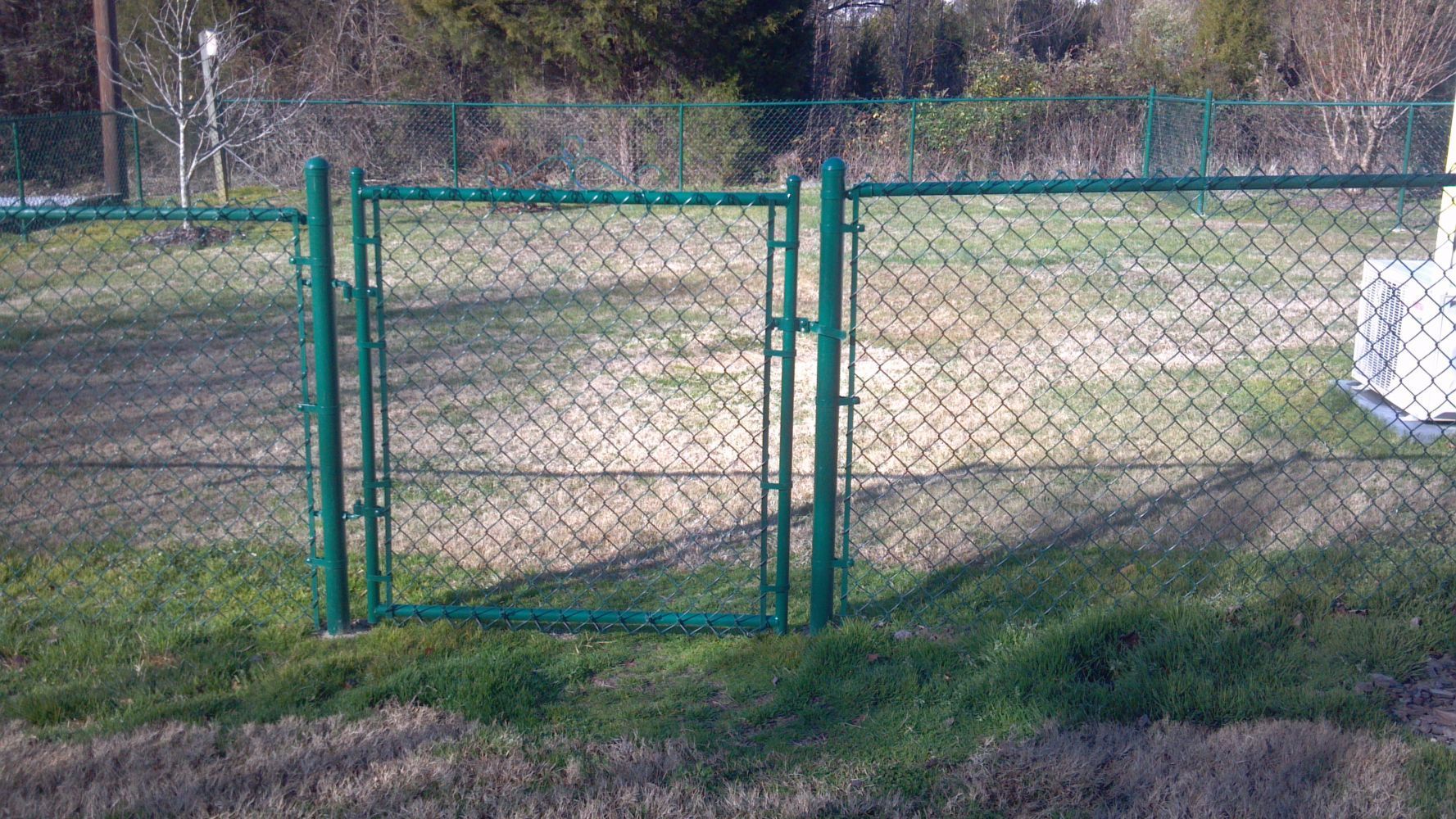 Green chain-link fence with a matching gate, on grassy ground.
