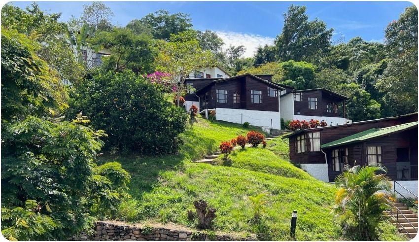 Cabañas de madera en una ladera cubierta de hierba, rodeadas de exuberantes árboles verdes bajo un cielo azul.