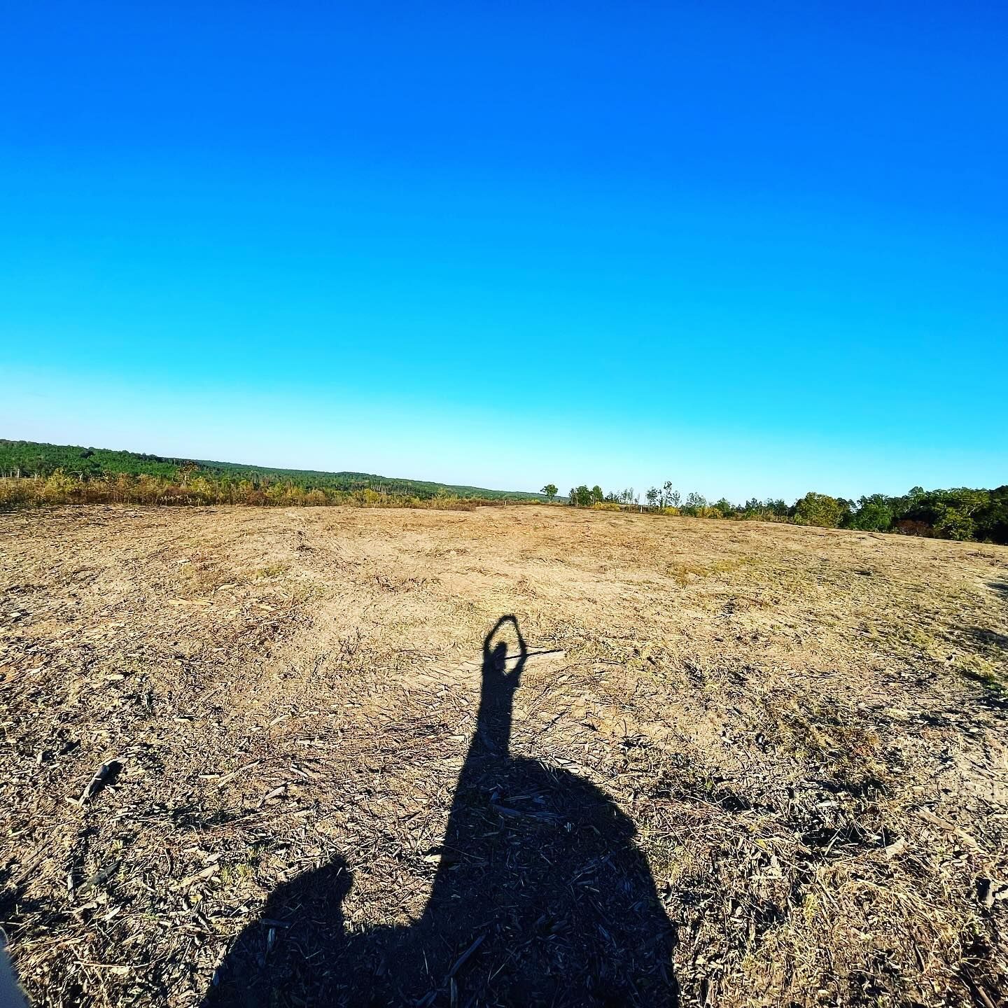A person 's shadow is cast on the ground in a field