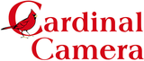 Armadillo Camera logo: black text and geometric shape inside an arch.