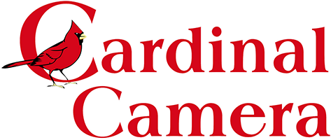 Armadillo Camera logo: black text and geometric shape inside an arch.