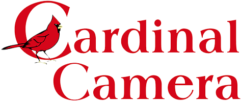 Logo with a letter
