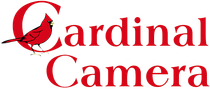 Logo with a letter
