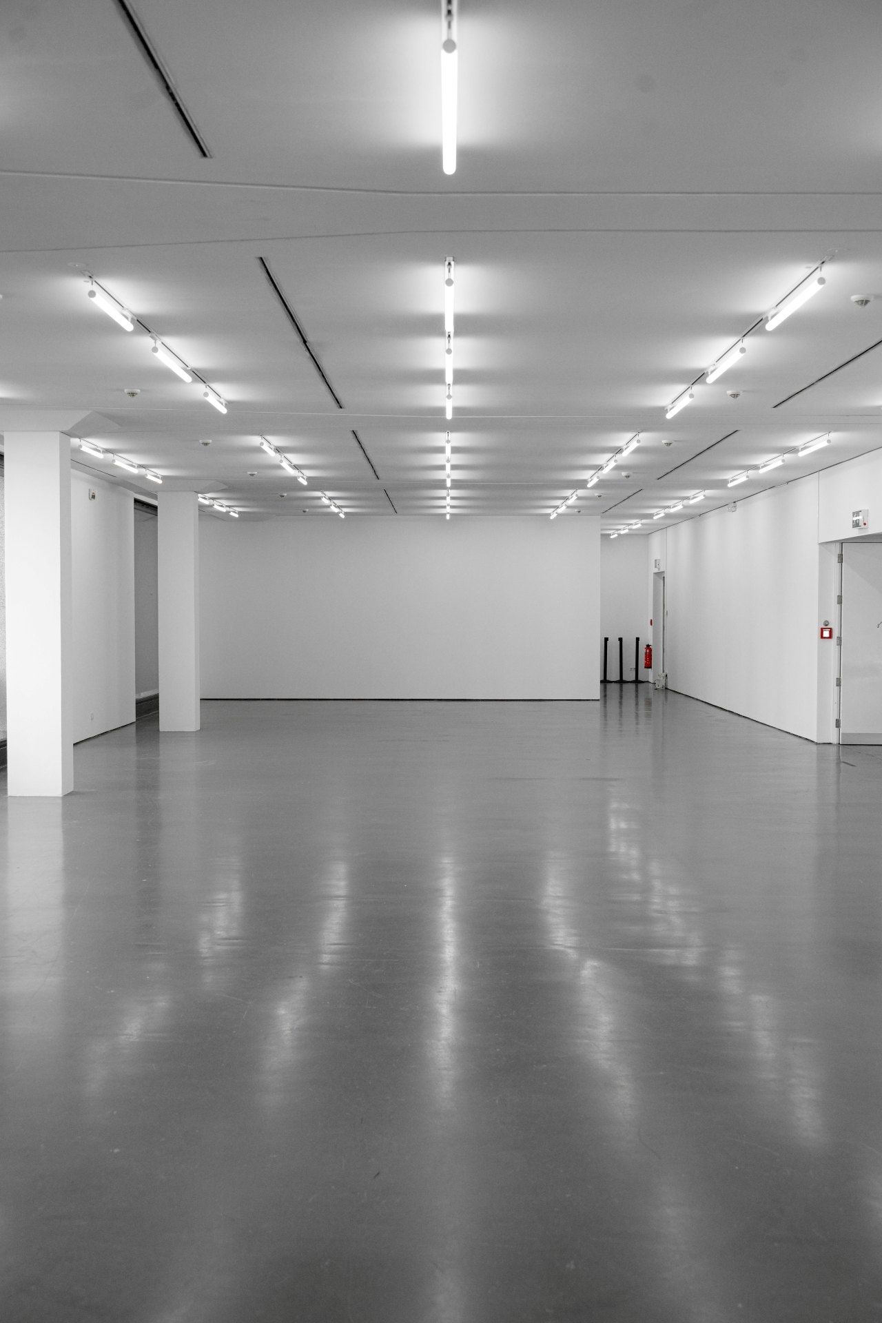 Empty white room with polished floor and rows of ceiling lights