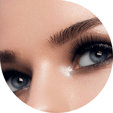 Eyebrows and Lashes Service
