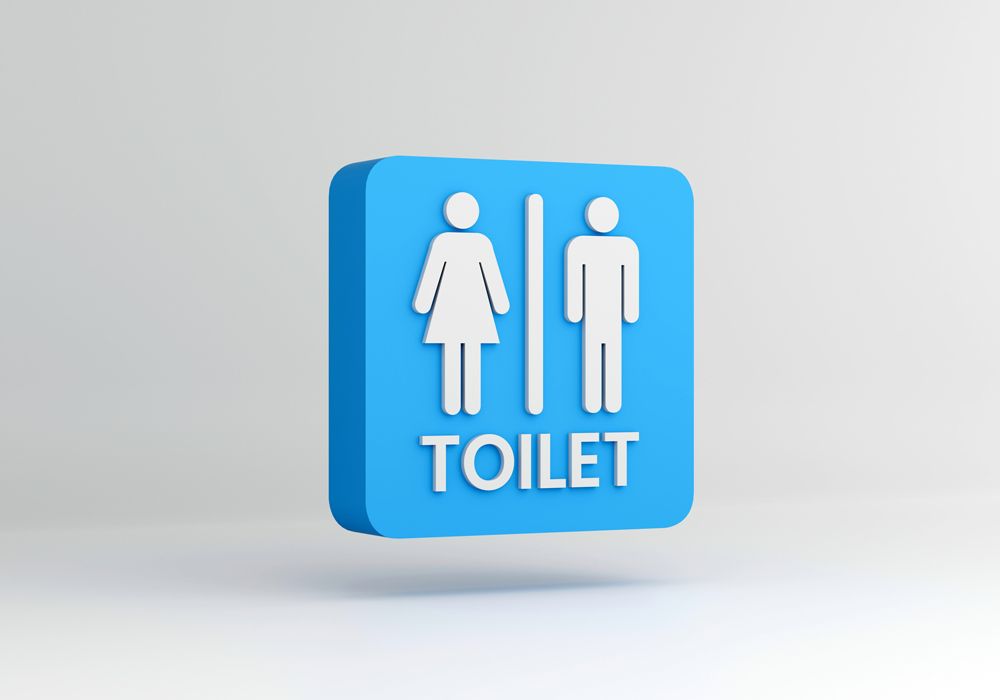 Portable Toilet Rentals for Festivals