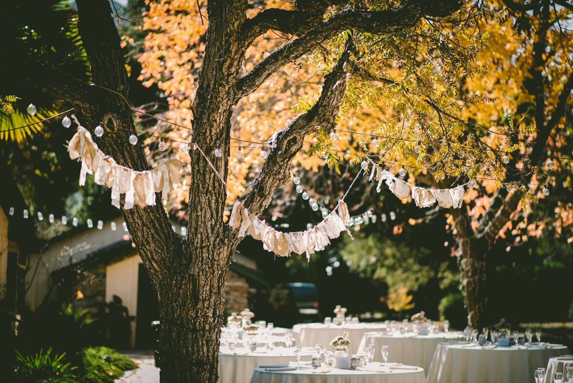 outdoor wedding reception