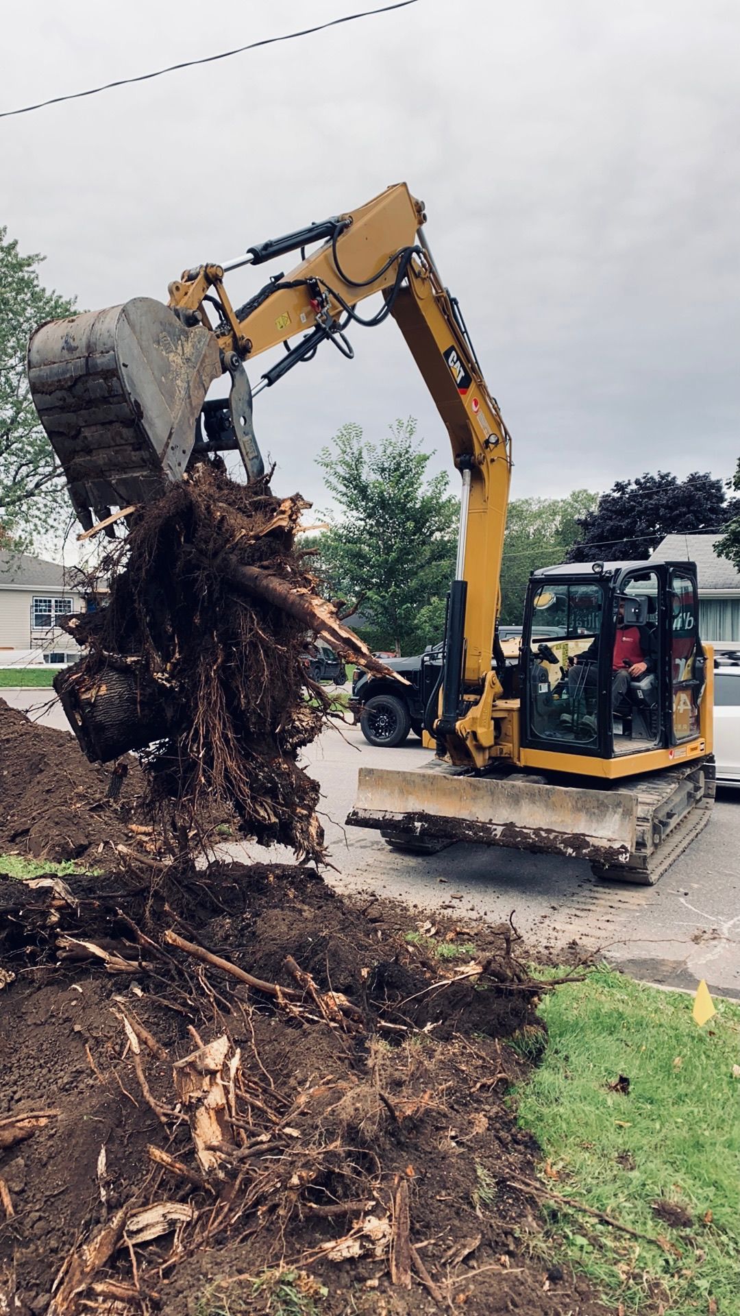 Une excavatrice jaune retire une souche d'arbre du sol.