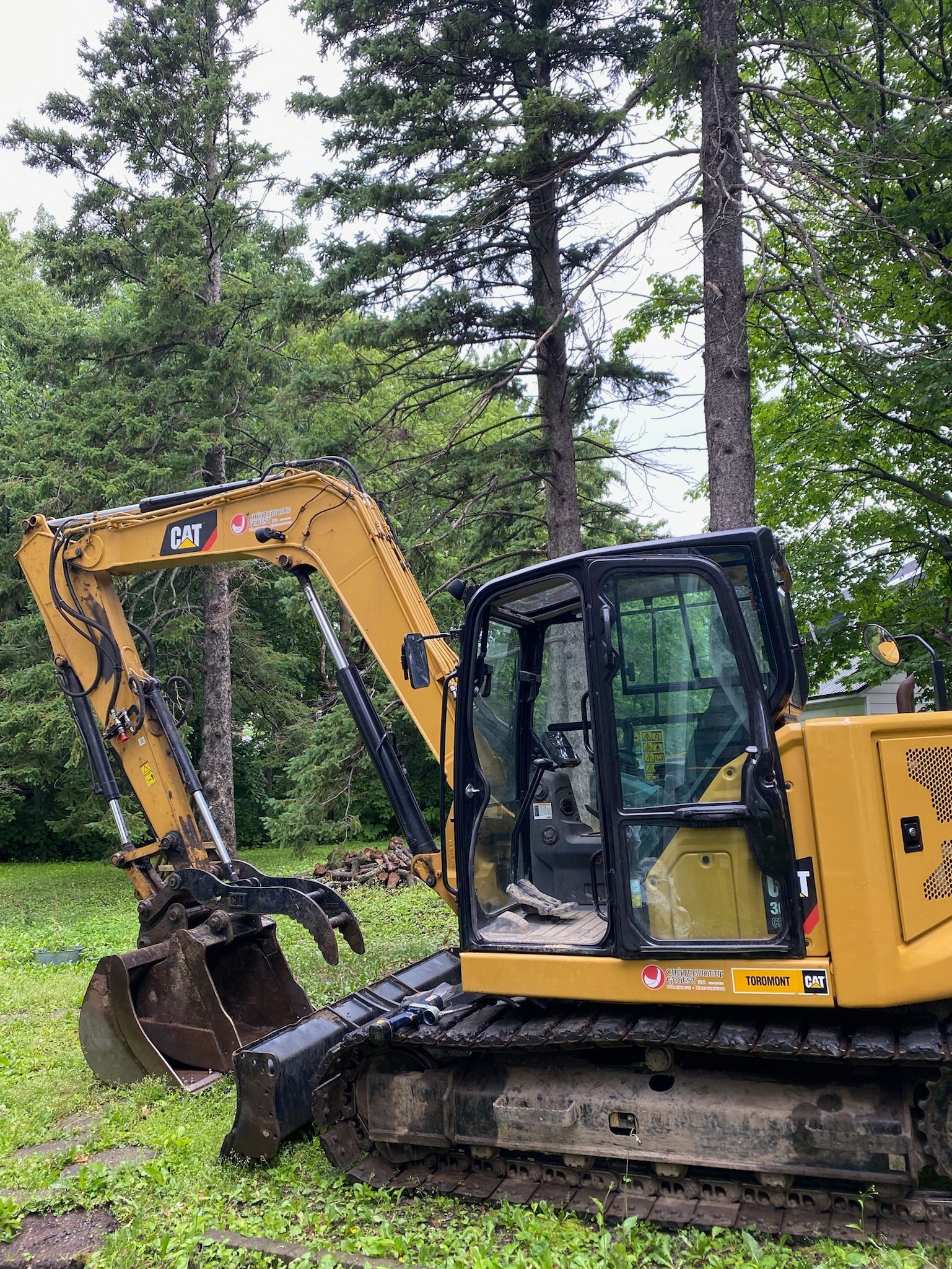 Une excavatrice jaune est garée dans un champ herbeux à côté d'arbres.