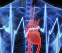 Schema anatomico umano: cuore rosso nel petto con andamento della frequenza cardiaca elettrica blu.