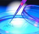 Una pipetta che distribuisce il liquido in una piastra di Petri con piccole colonie; toni blu e viola.