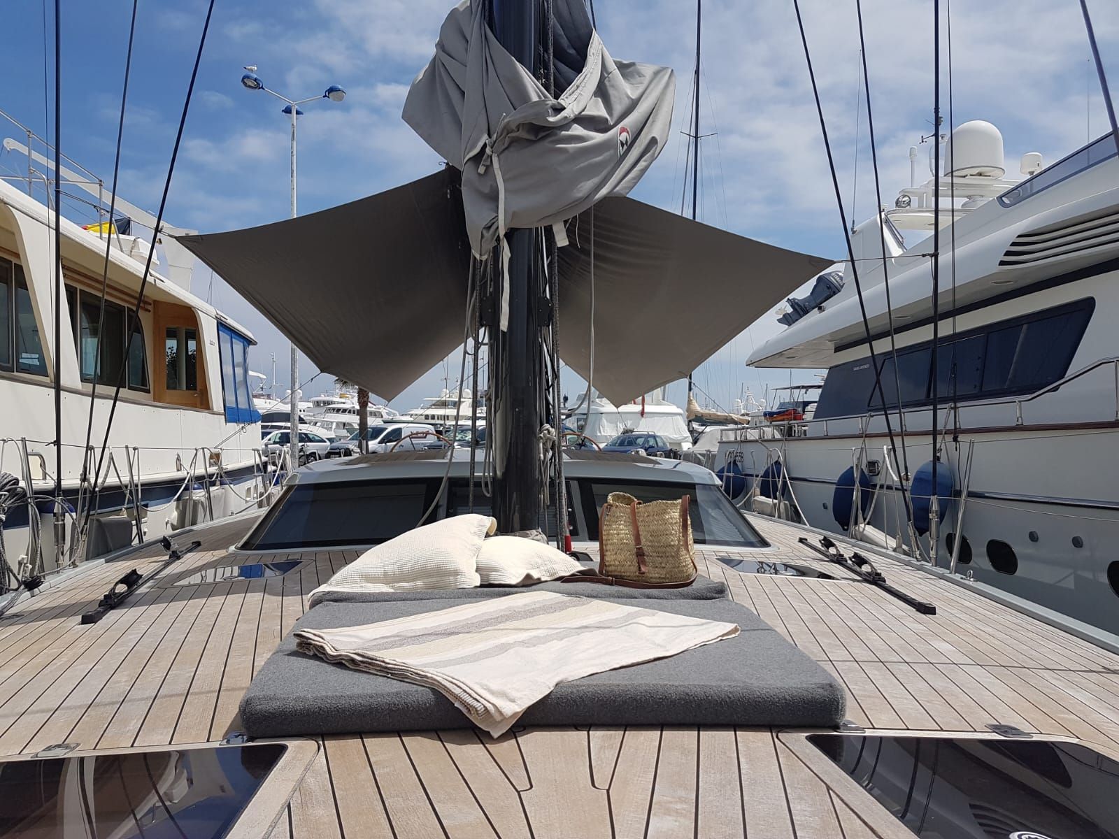 One Shot of Cowes 5
