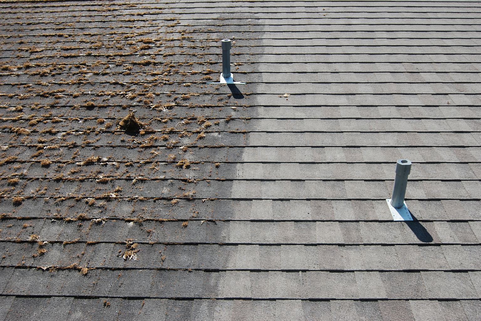 Roof shingles, half covered in moss, the other half cleaned.