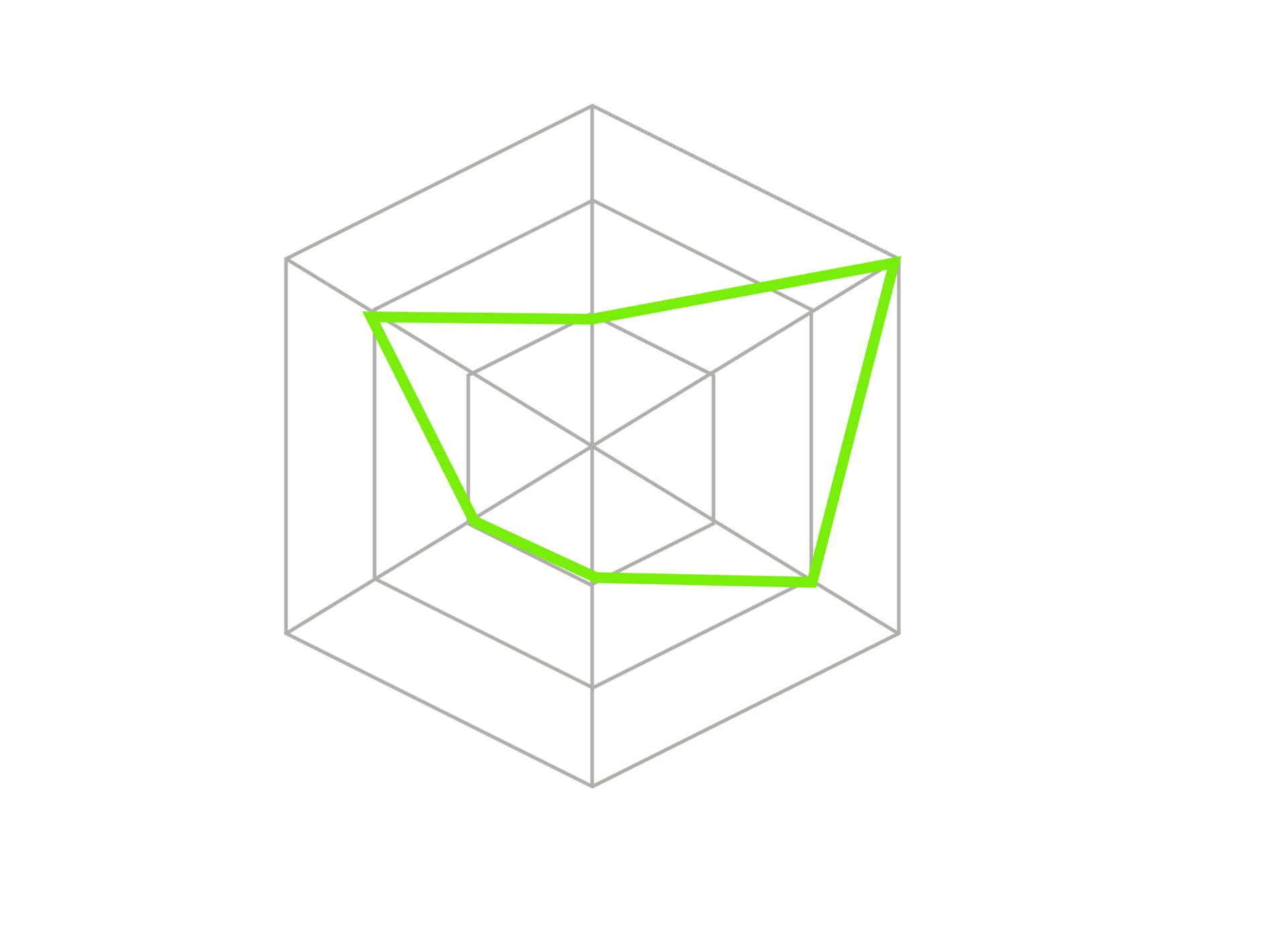 Green polygon over a gray web chart with six radial axes