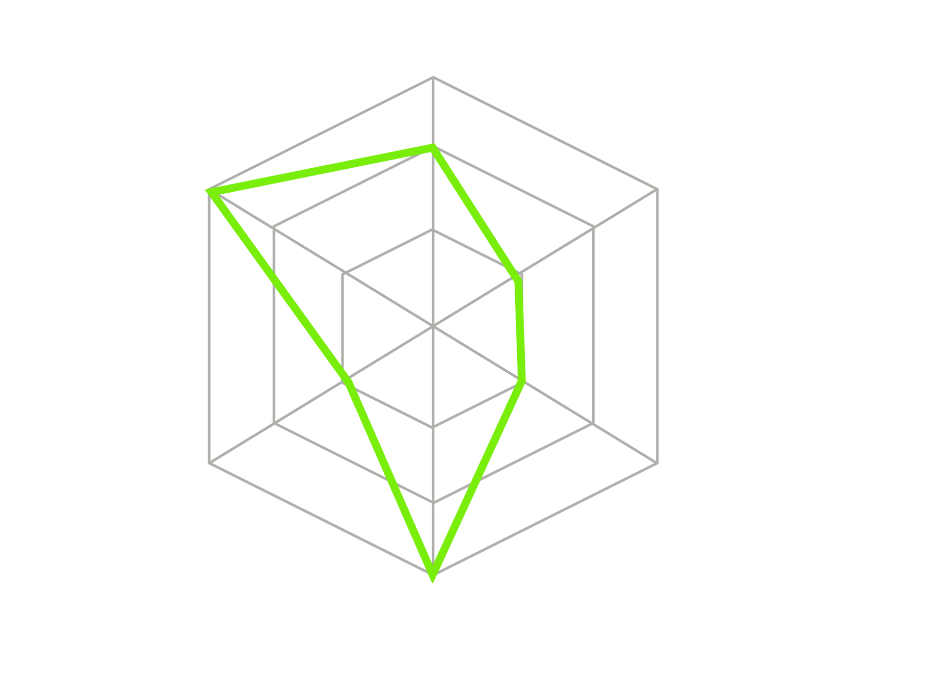 Green polygon over a gray web chart with six radial axes
