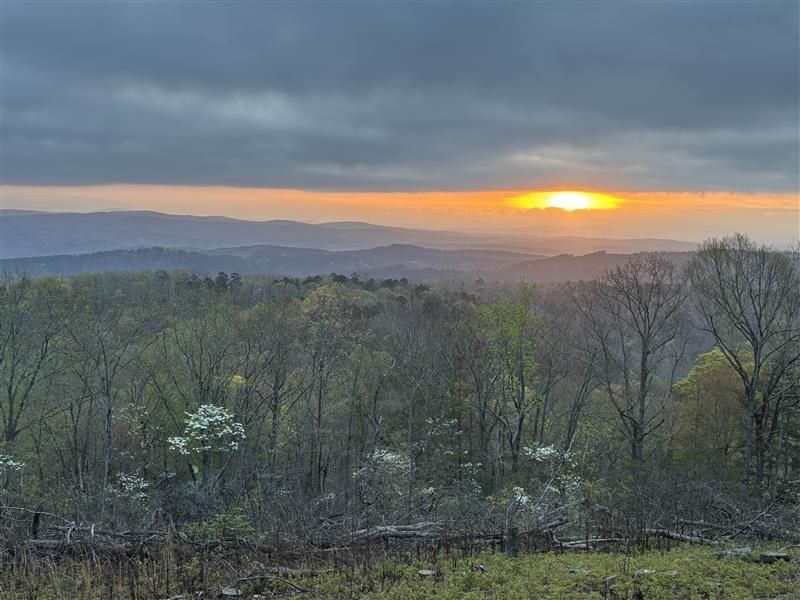 The sun is setting over a forest with mountains in the background.