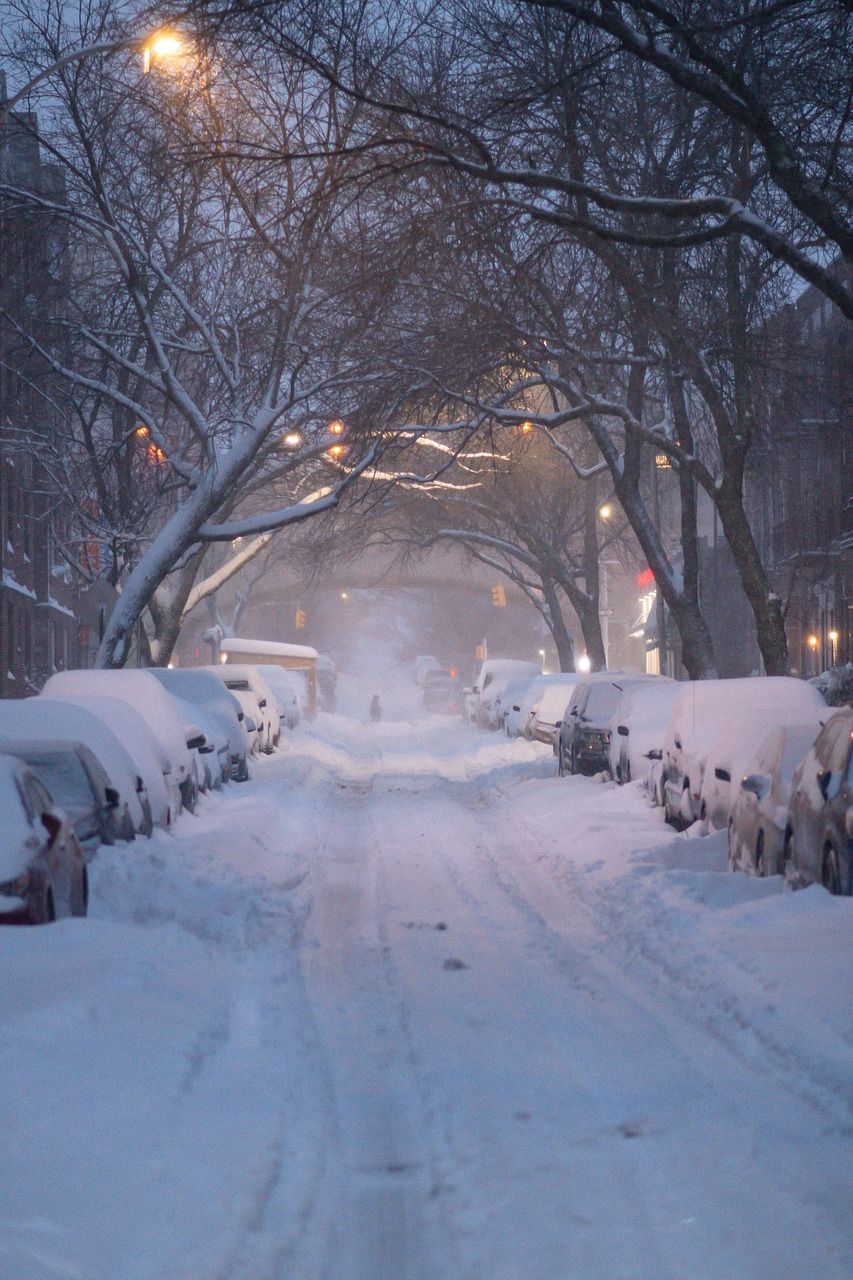A snowy street with a lot of cars covered in snow.