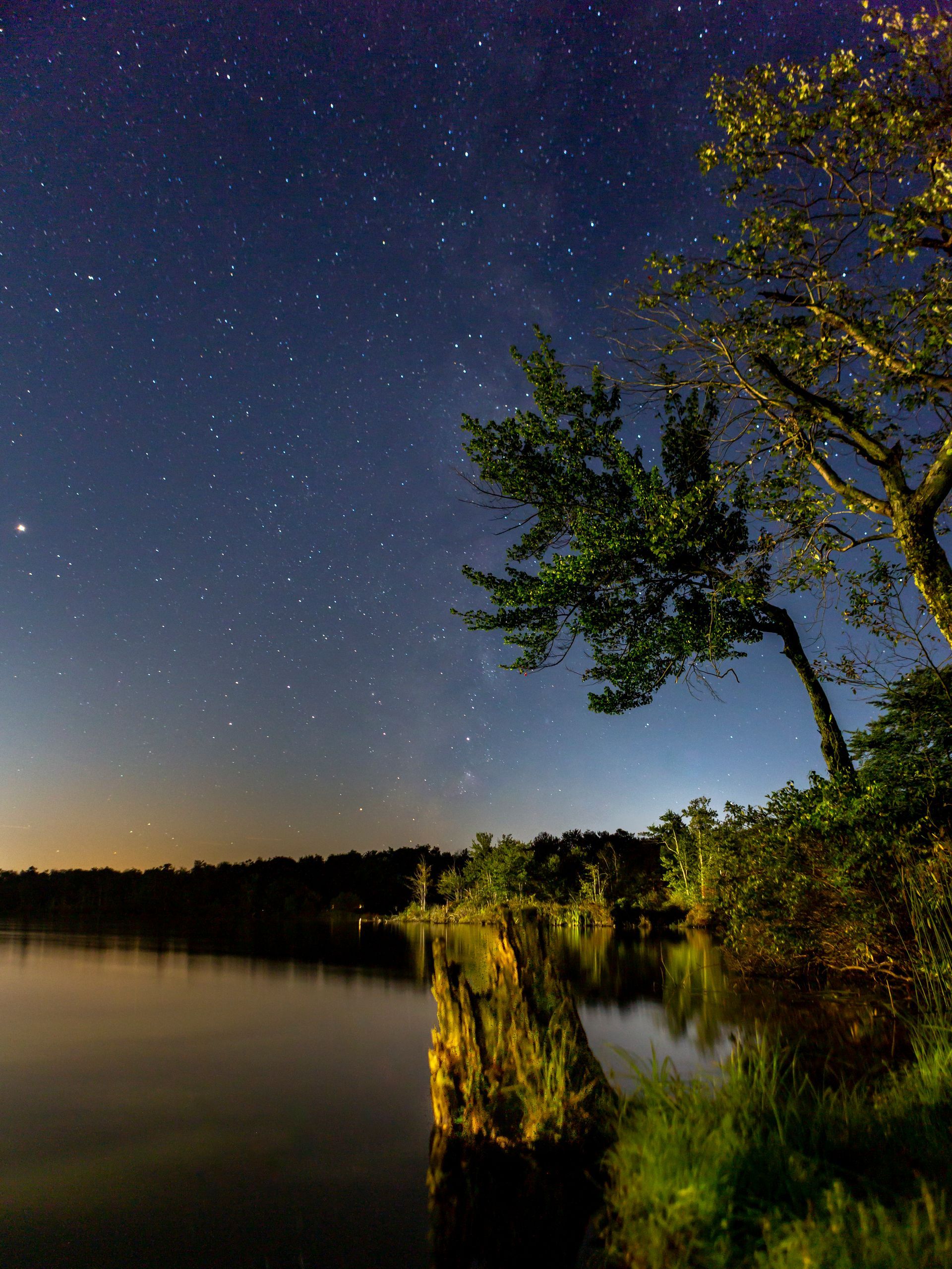 A starry night over a lake with a tree in the foreground.