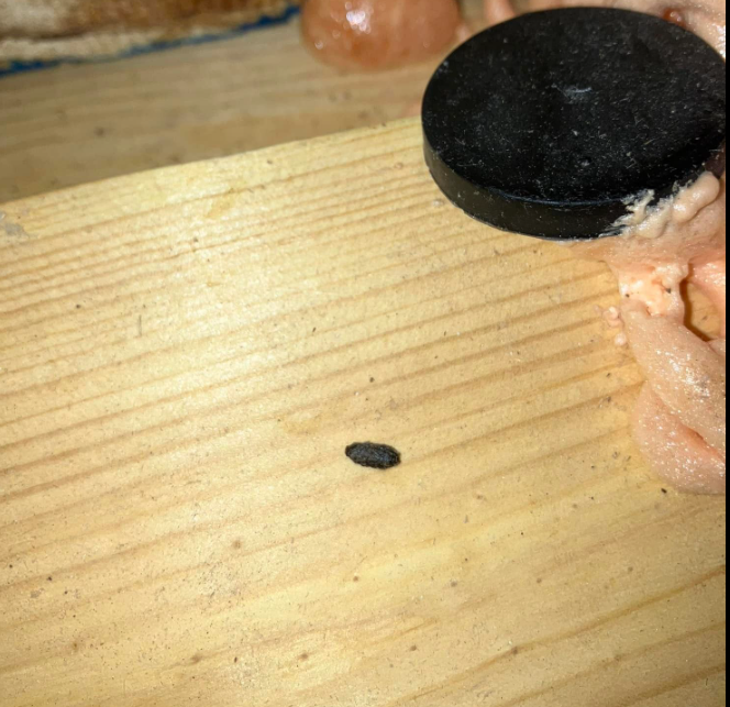 Small Black Object on Top of a Wooden Table — Rockland, WI — Scenic Bluffs Pest Control