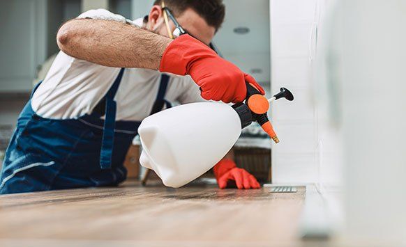 Exterminator With Pest Spray — Rockland, WI — Scenic Bluffs Pest Control