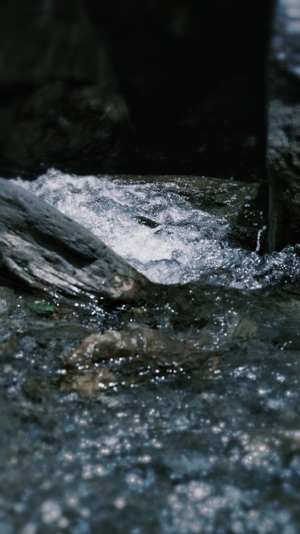 A close up of a river with a rock in the middle of it.