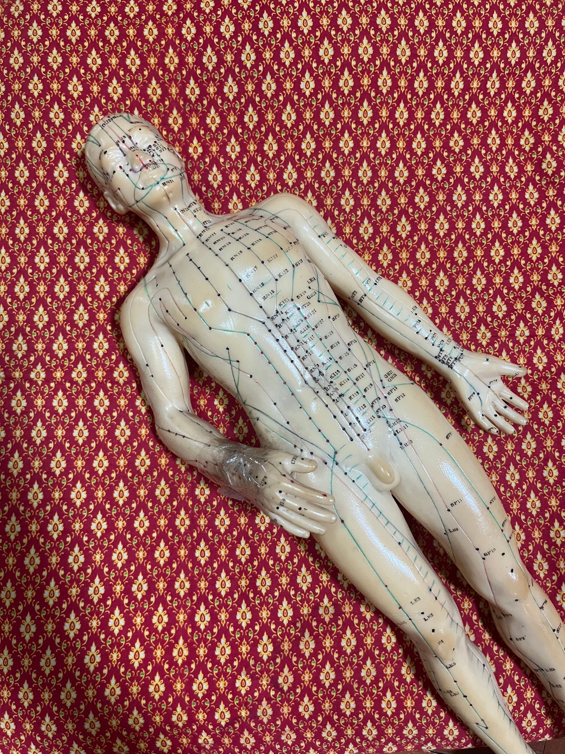 Acupressure model doll
