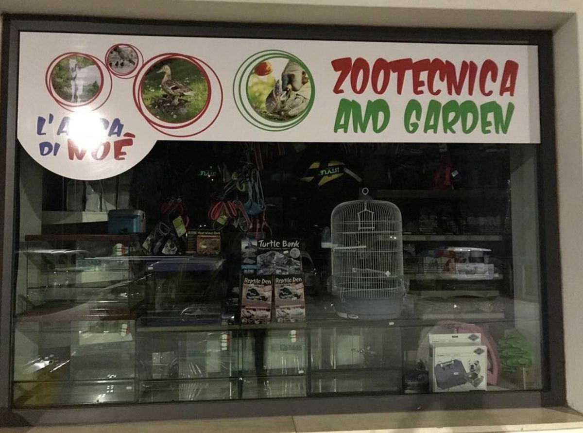 vetrofanie
