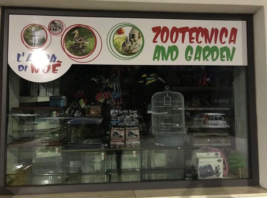 vetrofanie