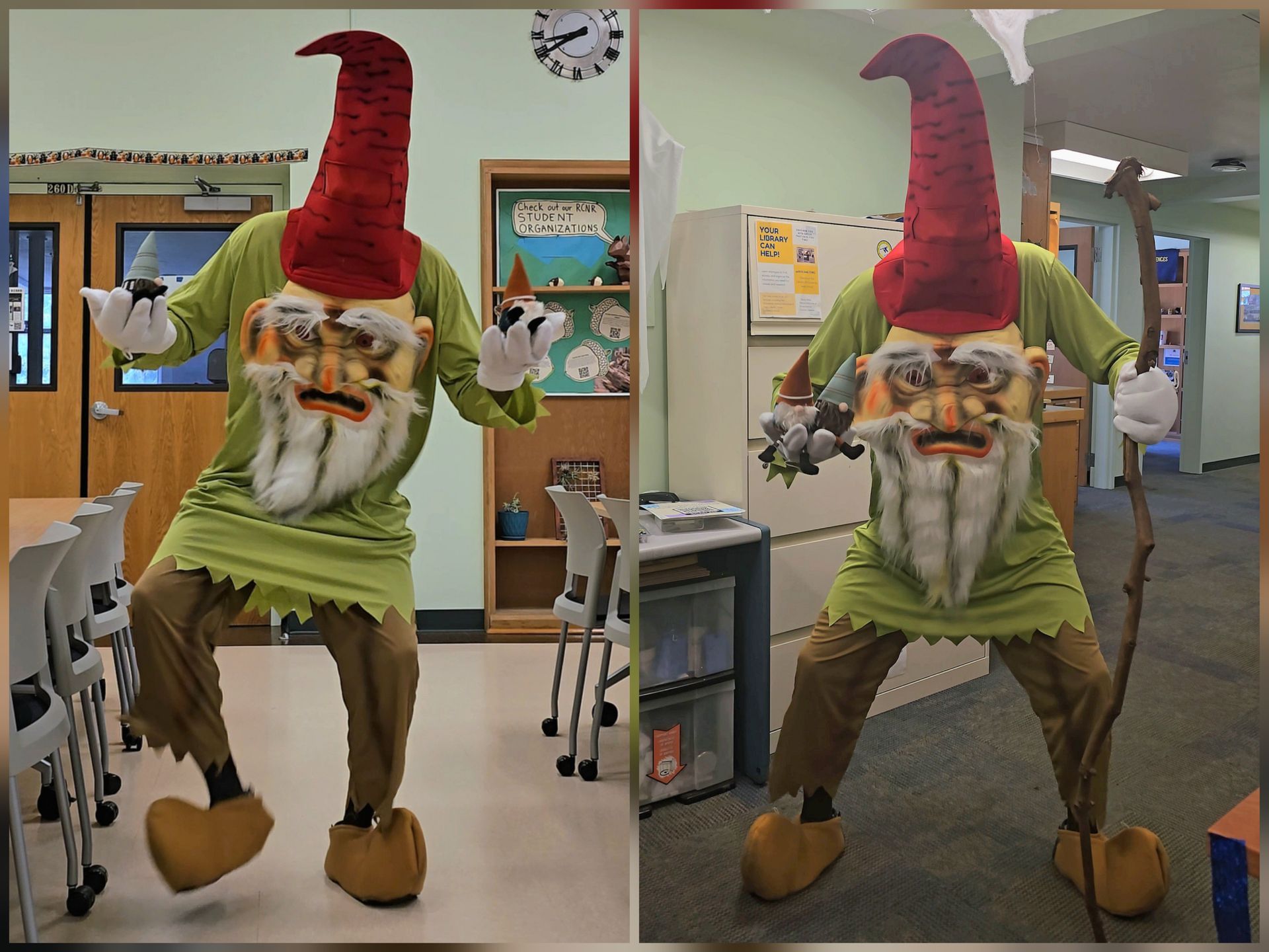 A person in a gnome costume with a red hat, green shirt, and brown pants, standing in a room.