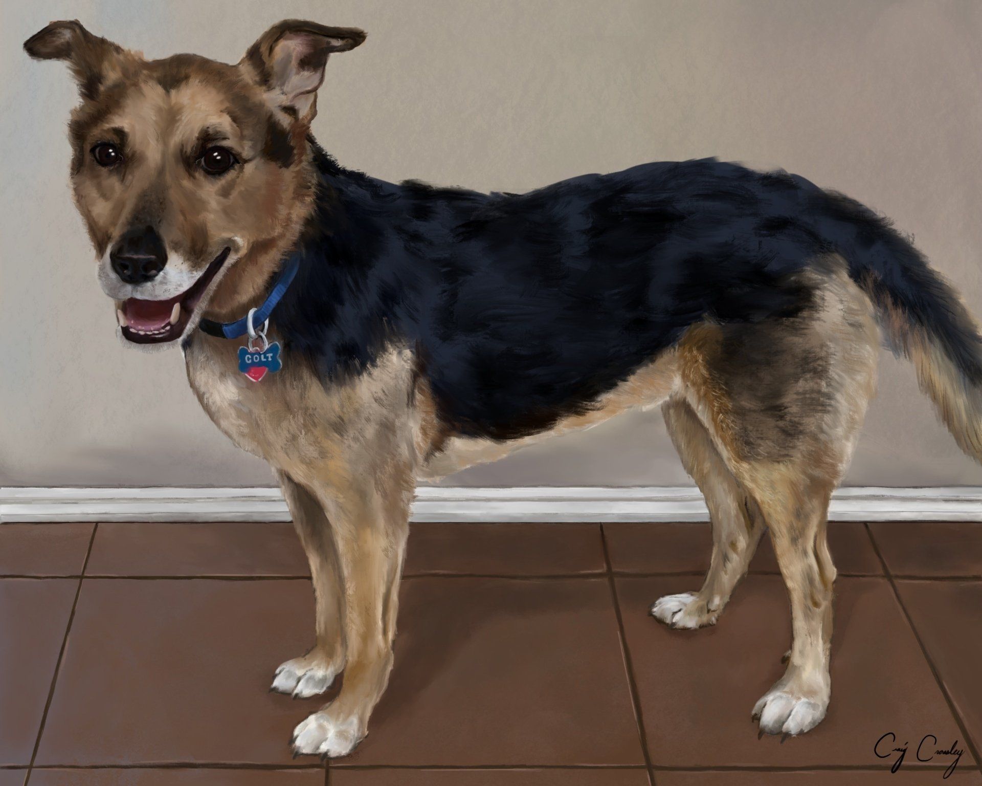 German Shepherd dog, black and tan, wearing a blue collar, standing on a brown tiled floor, smiling.