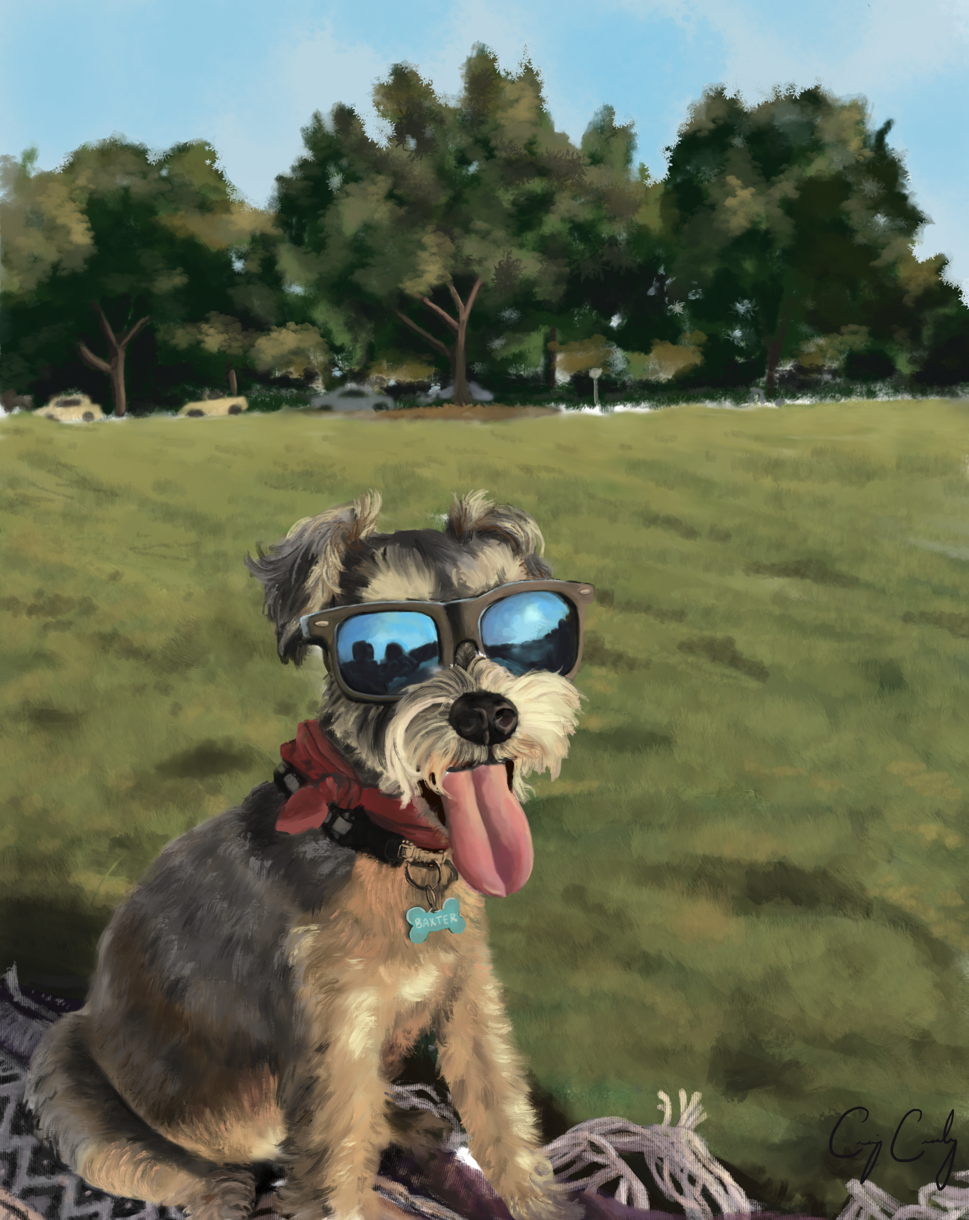 Schnauzer wearing sunglasses and a bandana, sitting on a blanket in a park, tongue out.