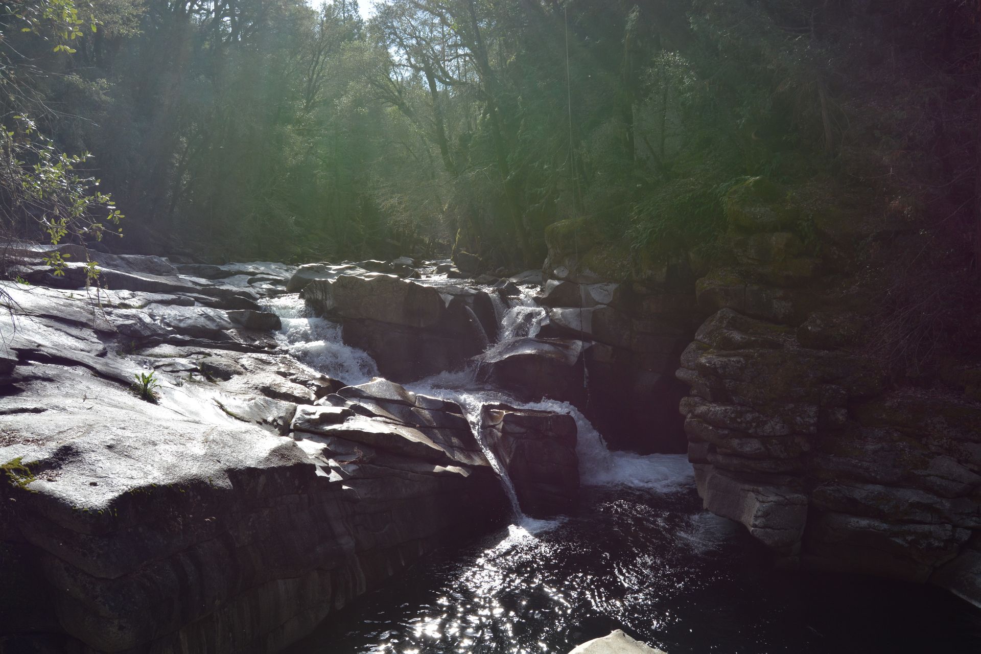 A small waterfall cascades over layered rock, surrounded by lush green trees; sunlight glistens on the water.