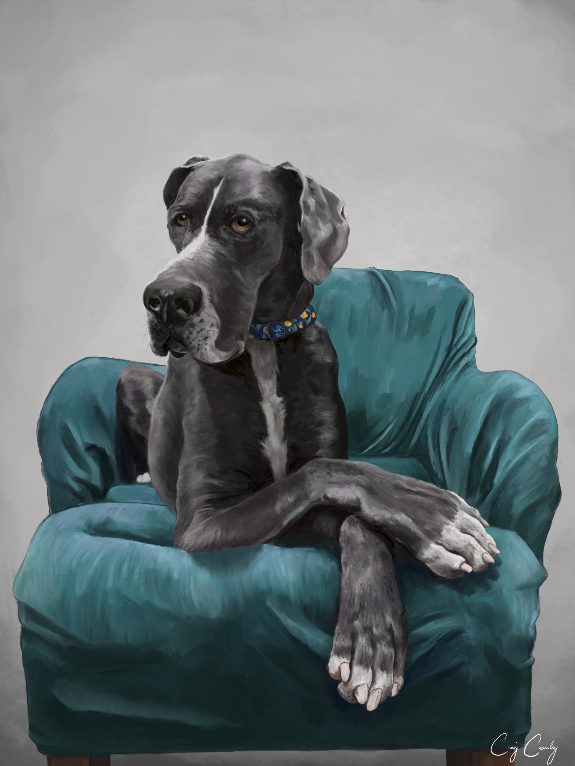 Great Dane dog sitting in a teal armchair with crossed paws, looking off to the side.