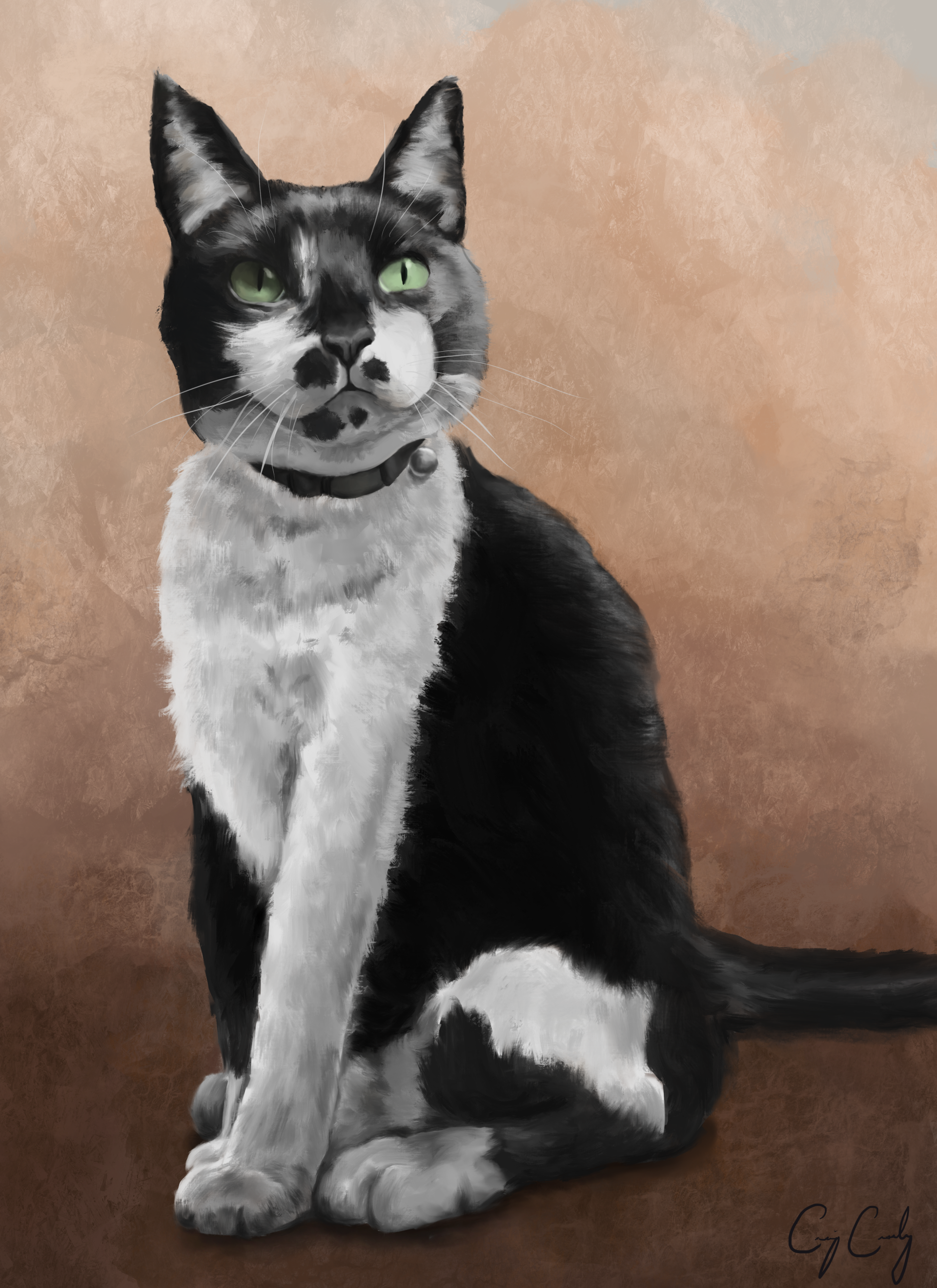 Black and white tuxedo cat with green eyes sits against a brown background, wearing a collar.