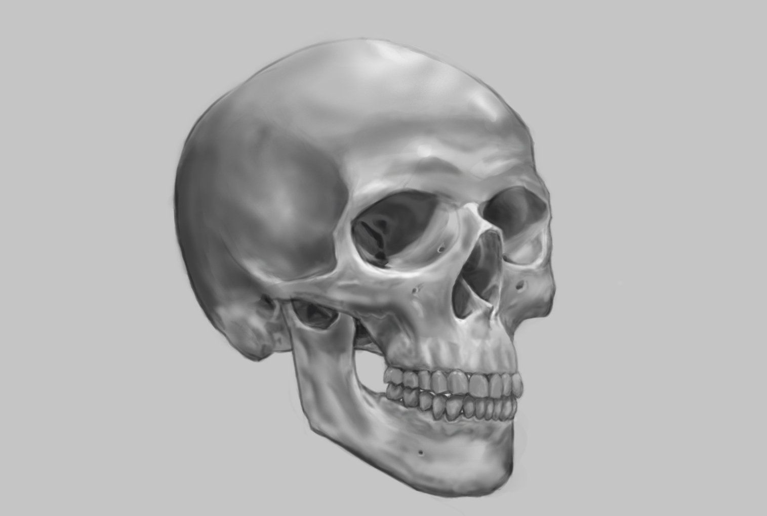 Human skull, gray shading, side view, showing detailed bone structure.